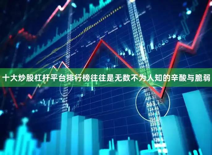十大炒股杠杆平台排行榜往往是无数不为人知的辛酸与脆弱