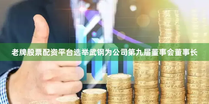 老牌股票配资平台选举武钢为公司第九届董事会董事长