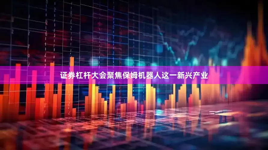 证券杠杆大会聚焦保姆机器人这一新兴产业